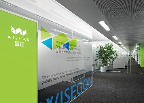 慧龍環(huán)?？萍?品牌設(shè)計